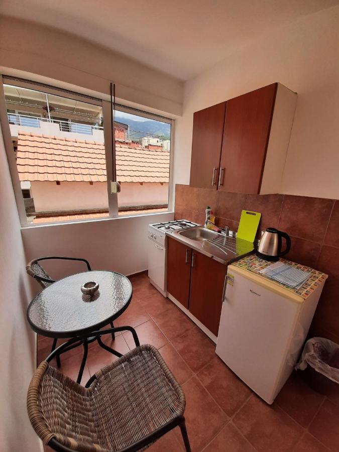 Apartment Hortenzija Budva