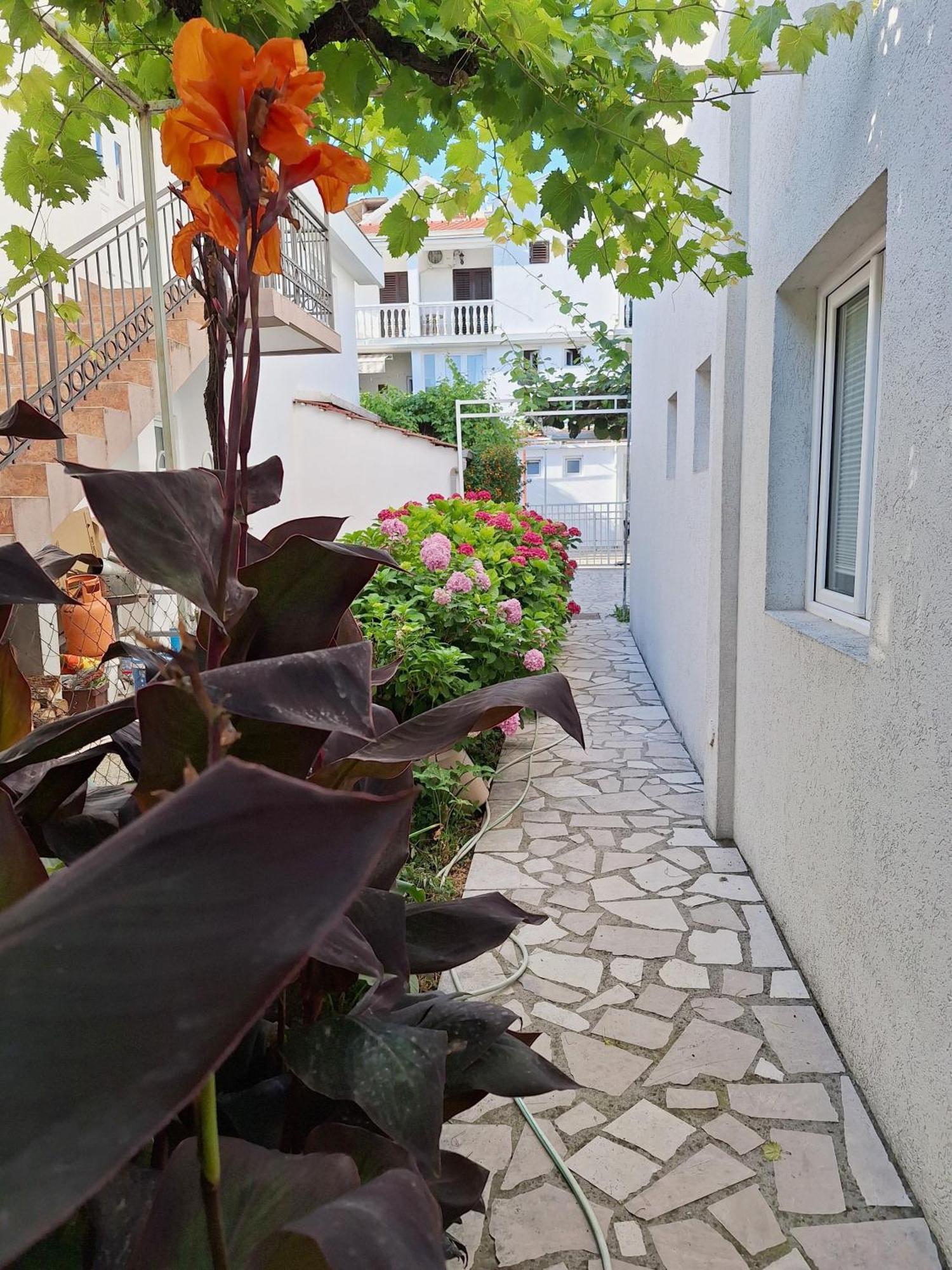 Hortenzija Apartment Budva